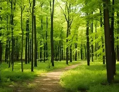 kaiyun网站-峰度控股骆国峰